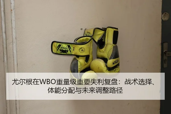 尤尔根在WBO重量级重要失利复盘：战术选择、体能分配与未来调整路径